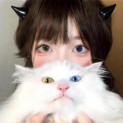 虎鹤双行